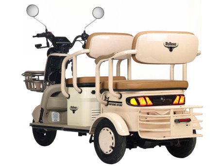 Трицикл электрический Rutrike Атлас (бежевый) (026353-3255)