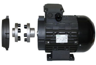 Электродвигатель RAVEL RVJ (5.5кВт, 380В, 1450об/мин, п.в. 24мм, H112)