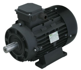 Электродвигатель RAVEL 2559A (9.2кВт, 380В, 1450об/мин, вал 38мм, H132M)
