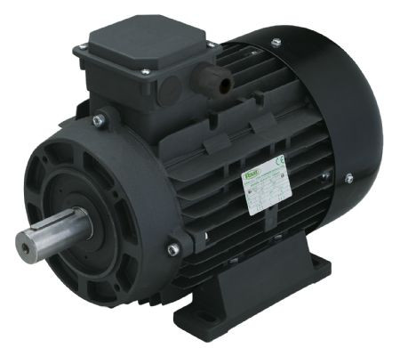 Электродвигатель RAVEL 2559A (9.2кВт, 380В, 1450об/мин, вал 38мм, H132M)