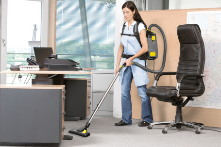 Пылесос Karcher BV 5/1 *EU (серый)