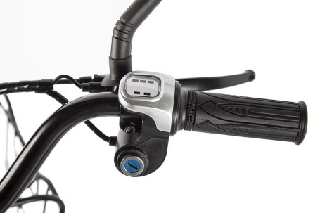 Электровелосипед GREEN CITY e-ALFA new (серебристый)