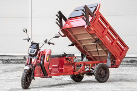 Трицикл электрический Rutrike Антей Pro 1500 60V1200W (красный)