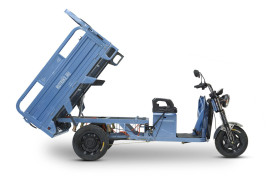 Трицикл электрический Rutrike Вектор 1500 (60V, 1200W, зеленый)