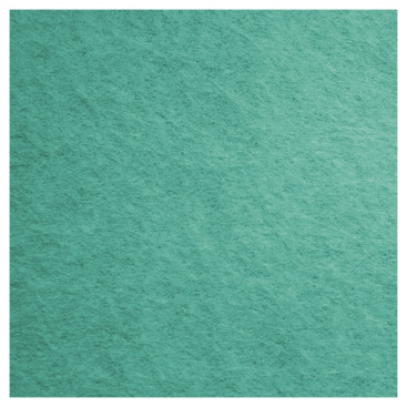 Салфетка TTS FREE-T (38х40см, зеленая, 1шт)