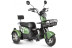 Трицикл электрический Rutrike Шкипер (зеленый)