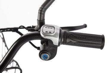 Электровелосипед GREEN CITY e-ALFA new (темно-красный матовый)