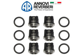 Ремкомплект клапанов R+M 1702864 (6шт, KIT 2864)