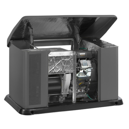 Генератор газовый B&amp;S Home Standby 14000