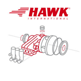 Комплект уплотнений насоса HAWK NLT, XLTI d20мм (3 поршня, большой)