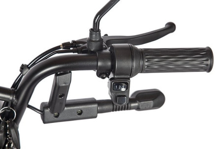 Трицикл электрический Rutrike Караван (коричневый)