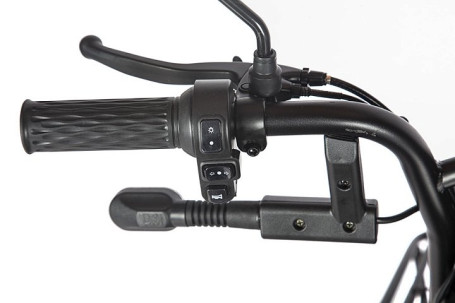 Трицикл электрический Rutrike Караван (коричневый)