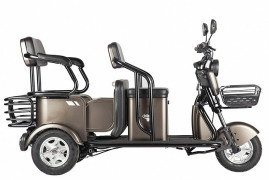 Трицикл электрический Rutrike Караван (коричневый)