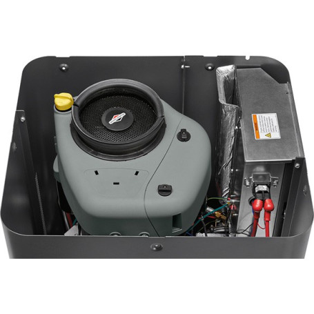 Генератор газовый B&amp;S Home Standby 6000