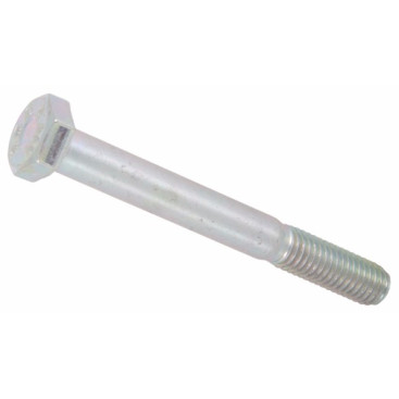 Винт (8х70мм) R+M