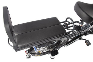 Электровелосипед GREEN CITY e-ALFA GL (черный)