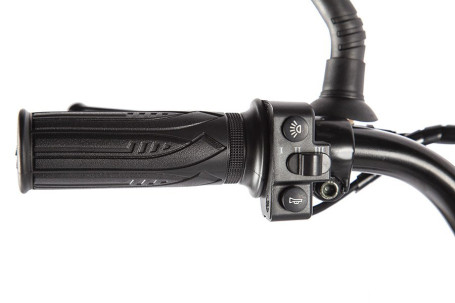 Электровелосипед GREEN CITY e-ALFA GL (серебристый)