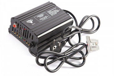 Зарядное устройство RuTrike (24В, 10А, для Li MnCoNi)