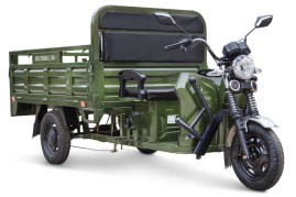 Трицикл электрический Rutrike D4 NEXT 1800 (зеленый)