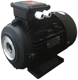 Электродвигатель TOR 14700 (9кВт, 380В, 1450об/мин, п.в. 24мм, Dфл 87мм, H132)