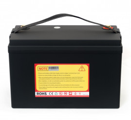 Тяговый аккумулятор Everest Energy (24В, 60Ач, LiFePO4, Bluetooth)