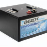 Тяговый аккумулятор Everest Energy (24В, 100Ач, LiFePO4, Bluetooth)