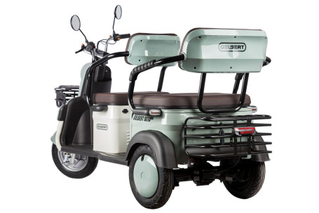 Трицикл электрический Rutrike Gelbert Beta (48/60V, 800W, серо-белый) (0000256-3031)