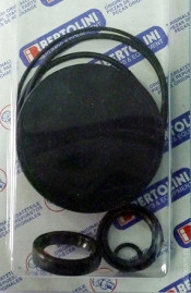 Ремкомплект Bertolini KIT107 (уплотнители, C53)