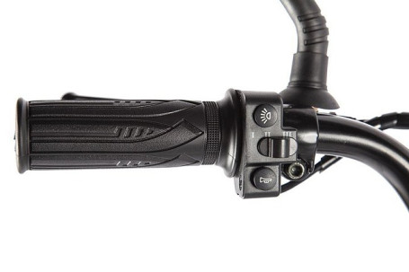 Электровелосипед GREEN CITY e-ALFA LUX (коричневый)