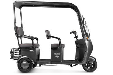 Трицикл электрический Rutrike Gelbert Bos (48/60V, 800W, черный)