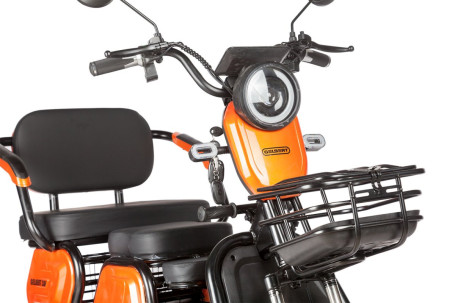 Трицикл электрический Rutrike Gelbert Caf (48/60V, 600W, черный) (0000131-3035)