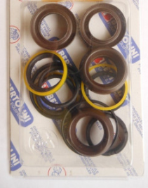 Ремкомплект Bertolini KIT12 (упл. плунжеров, WB/WM)