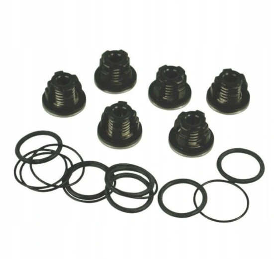 Комплект клапанов AR (для насосов серии AR ,  1409050 + 620030 + 540361, 6шт)