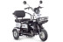 Трицикл электрический Rutrike Gelbert Caf (48/60V, 600W, белый) (0000131-3039)