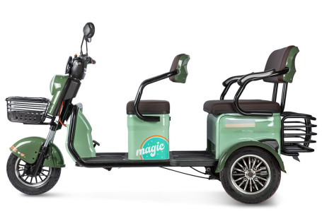 Трицикл электрический Rutrike Gelbert Kang (48/60V, 800W, зеленый) (0000266-3042)