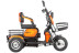  Трицикл электрический Rutrike Gelbert Caf 48V/60V 600Вт (красный)