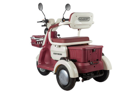 Трицикл электрический Rutrike Gelbert Mercury (48/60V, 650W, черный) (0000265-3047)