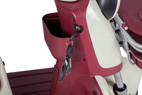 Трицикл электрический Rutrike Gelbert Mercury (48/60V, 650W, черный) (0000265-3047)