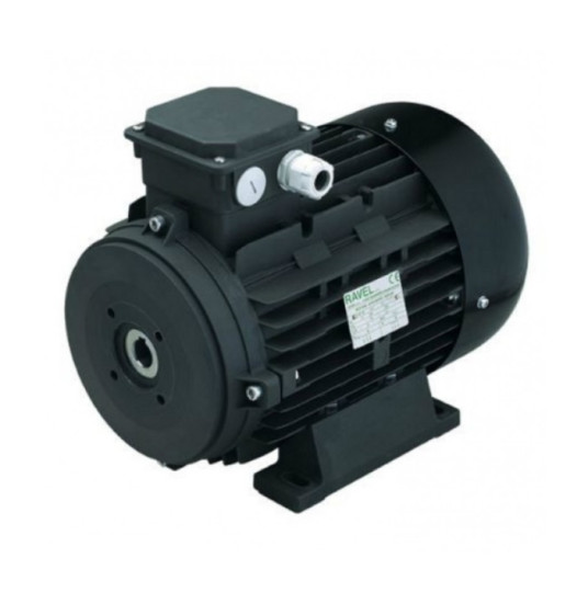 Электродвигатель RAVEL 2638 (15кВт, 380В, 1450об/мин, п.в. 24мм, H160)