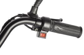 Трицикл электрический Eltreco Porter Fat 700 (серебристый)
