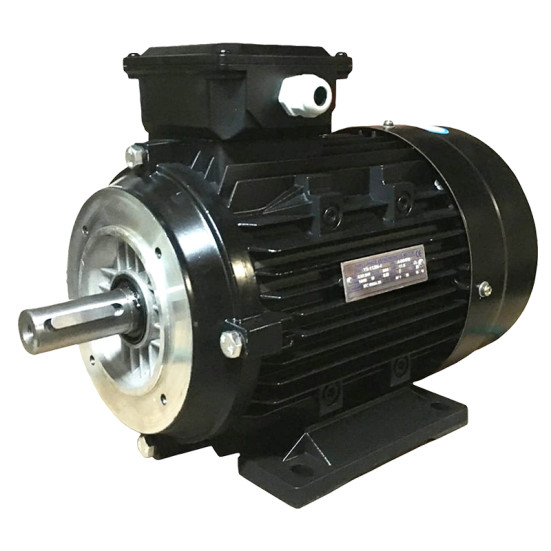 Электродвигатель TOR-DF (5.5кВт, 380В, 1450об/мин, н.в. 28мм, Dфл 130мм, H112)