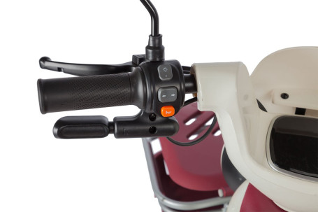 Трицикл электрический Rutrike Gelbert Mercury (48/60V, 650W, зеленый) (0000265-3049)