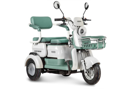 Трицикл электрический Rutrike Gelbert Mercury (48/60V, 650W, зеленый) (0000265-3049)
