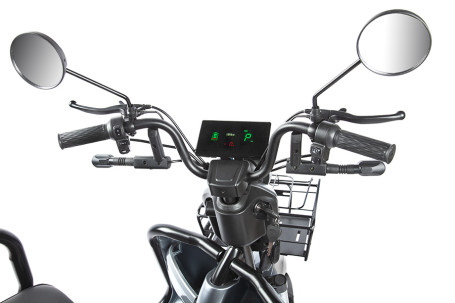 Трицикл электрический Rutrike Экипаж (черный)