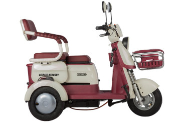 Трицикл электрический Rutrike Gelbert Mercury (48/60V, 650W, бело-красный)