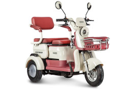Трицикл электрический Rutrike Gelbert Mercury (48/60V, 650W, бело-красный)