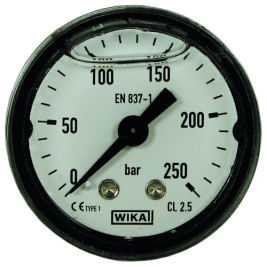 Манометр (250бар, 1/8"внеш, вход сзади, пласт) R+M