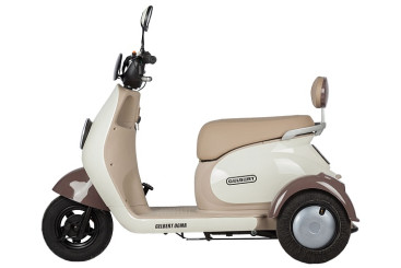 Трицикл электрический Rutrike Gelbert Ogma (48/60V, 650W, бело-коричневый)