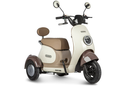 Трицикл электрический Rutrike Gelbert Ogma (48/60V, 650W, бело-коричневый) (0000252-3052)