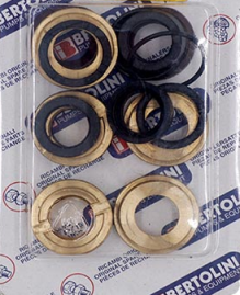 Ремкомплект Bertolini KIT156 (упл. плунжеров с бр. кольцами, RB стар.)